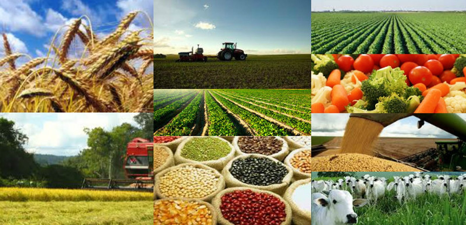 Opportunities Across Multiple Sectors